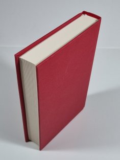 Odpor a odevzdání - Dopisy z vězení