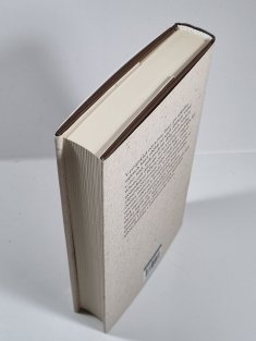 Nepřítel před branami