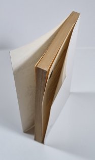 Pendragonská legenda