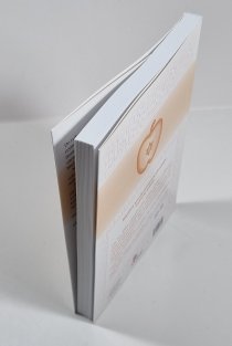 Manažerské příběhy