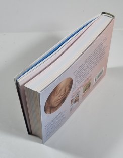 Těhotenství den za dnem