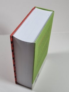 Strudlhofské schody, aneb, Melzer a hlubina let