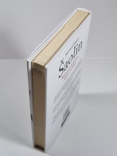 Šaolin - Nemusíš bojovat, abys zvítězil