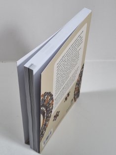 Šeherezádiny hádanky a další podivuhodné úlohy