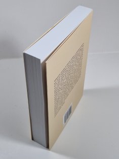 Perspektiva vzkříšení - Trinitární christologie