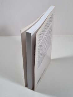 Adamův návrat - Mužská iniciace