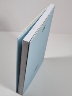 Politika života a smrti