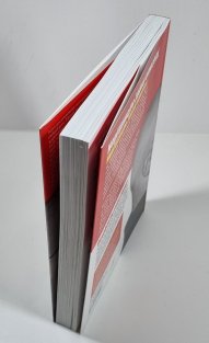 Karaoke kapitalismus