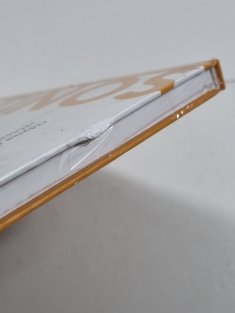 Plótínos - Odysea duše mezi věčností a časem