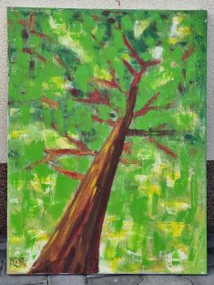 Letní strom (olej na plátně 60x80cm)