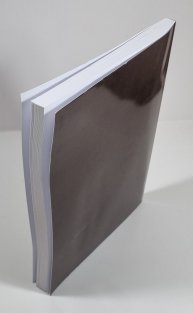 Politický okres sušický (Soupis památek historických a uměleckých v Království českém od pravěku do počátku XIX. století)