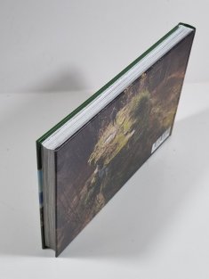 Český les - včera a dnes