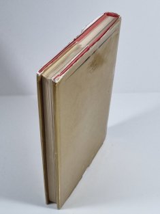 Podivuhodný svět Julese Verna