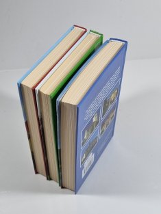 Utajené hrady a zámky I.-III. - Prahou podruhé po stopách panských sídel