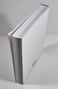 Stanislav Kolíbal - Bývalé nejisté tušené