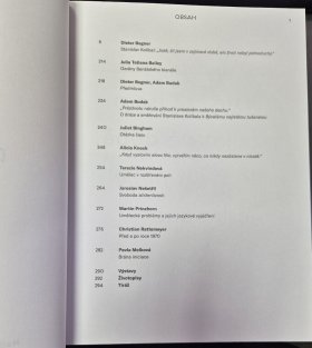 Stanislav Kolíbal - Bývalé nejisté tušené