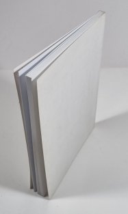 Mikuláš Medek - uzavřený problém nebo aktuální fenomén?