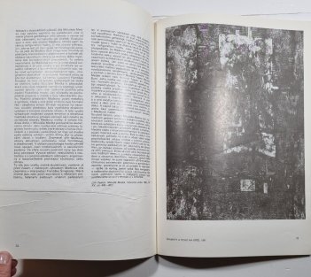 Mikuláš Medek - obrazy