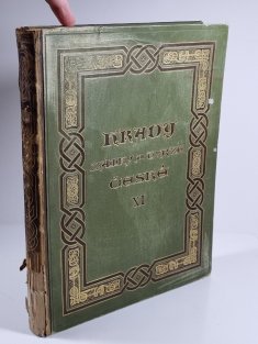 Hrady, zámky a tvrze Království českého XI. - Práchensko