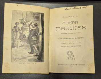 Slečna Mazlíček