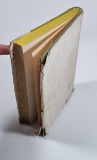 Holčičky z Křivé ulice