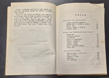 Holčičky z Křivé ulice