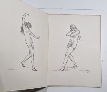 Hugo Boettinger - Grafické zjevy VI.