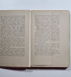 Rvavý Holybee a jiné povídky