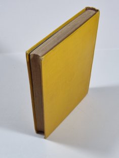 Poslední náčelník