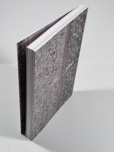 Marie Filippová - Svět jako bod a čára