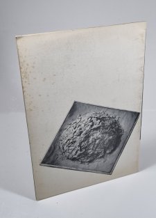 Zdena Fibichová - Středočeské muzeum