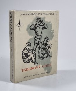 Táborový oheň