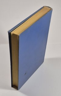 Praha ve své slávě a utrpení