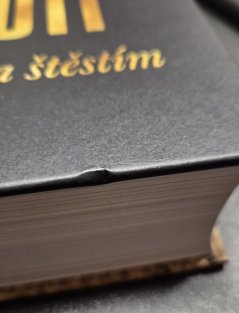 Karel Gott - Má cesta za štěstím