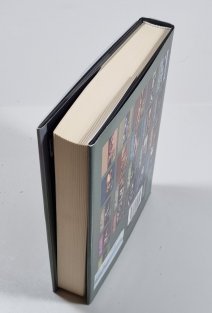 Ukradená oběť - Lucas Davenport 22