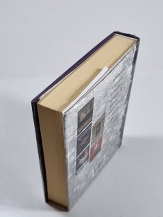 Vzdálená ozvěna - Karen Pirieová 1