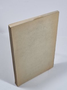 Oblastní řešení problematiky čistění měst