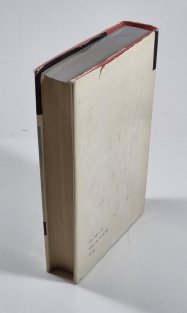 K domovu pohleď, anděle!