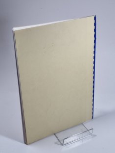 Z historie pojišťovnictví na území České republiky