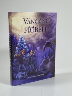 Vánoční příběh