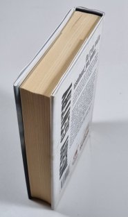 Merry Gentry 1 - Polibek stínů