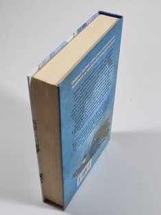 Bouřlivák - Kroniky Světakraje 2