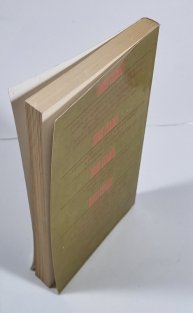 Tajemný Amber 4 - Dvory chaosu