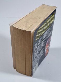 Vlci bohů - Timurova trilogie 2