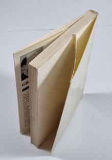 Jízda rychlodráhou