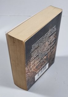 Drakův meč - Bazil Zlomený Palcát 2