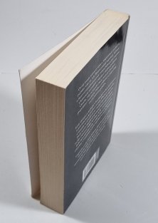 Vespasián 4 - Padlý římský orel (brož)