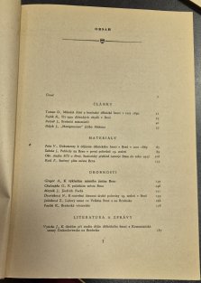 Brno v minulosti a dnes 1