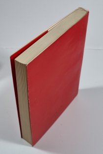 Břevnovský sjezd 1878