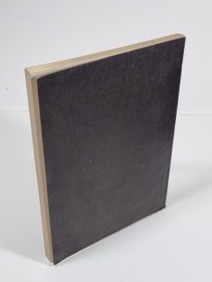 Mostecko-Litvínovsko - Regionální studie II.